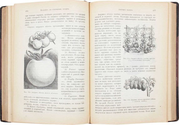Шредер Р.И. Русский огород. Питомник и плодовый сад. Руководство к наивыгоднейшему устройству и ведению огородного и садового хозяйств. 6-е изд. СПб.: Изд. А.Ф. Девриена, 1897.